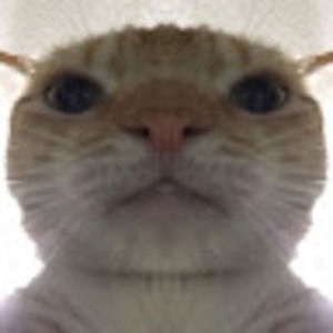 Meet your Posher, Miu